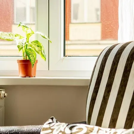 Cute And Cozy Studio - Excellent Location Apartamento